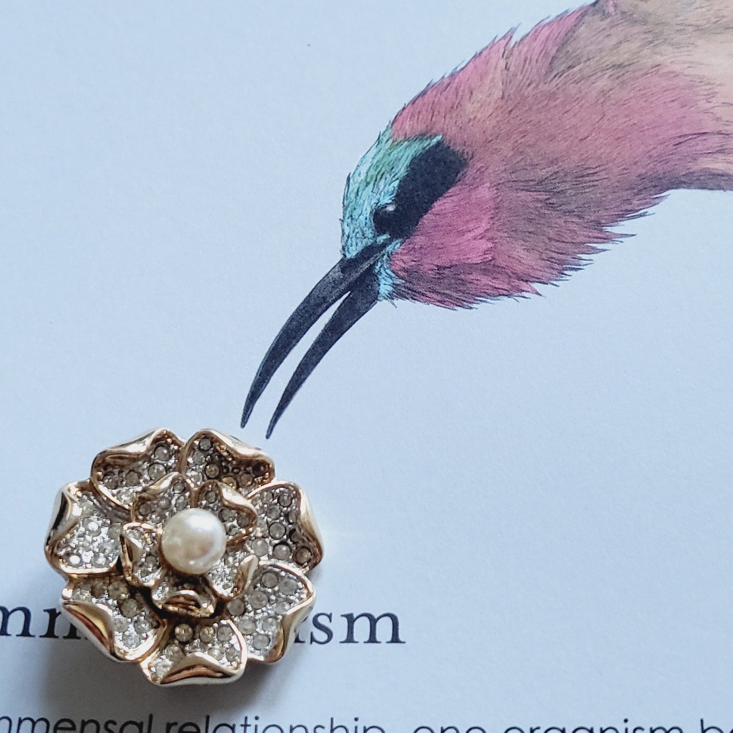 Brooch - Faux Pearl and Crystals Rosette Brooch