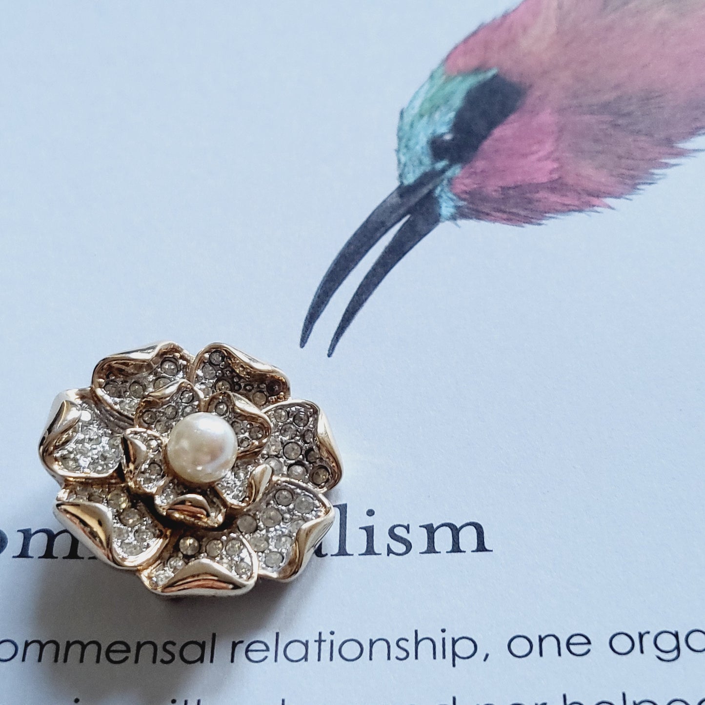 Brooch - Faux Pearl and Crystals Rosette Brooch