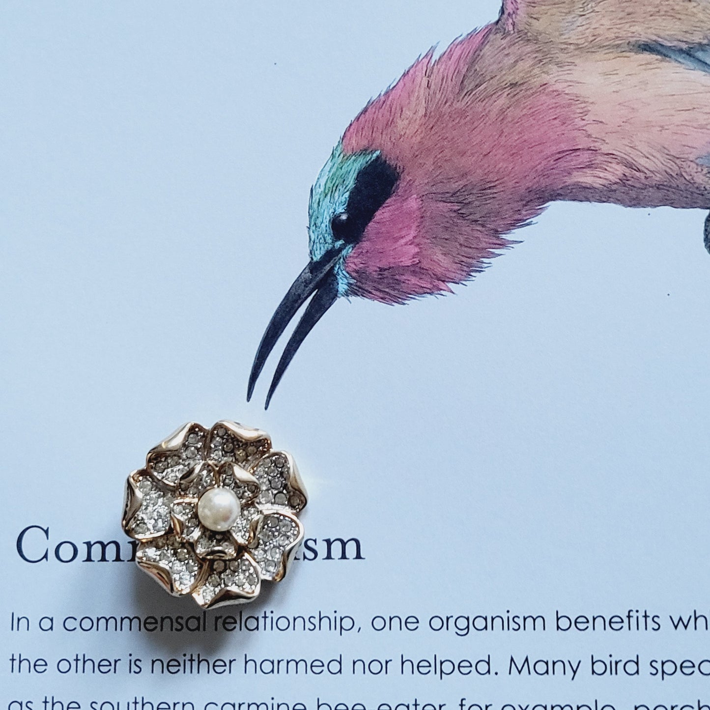 Brooch - Faux Pearl and Crystals Rosette Brooch