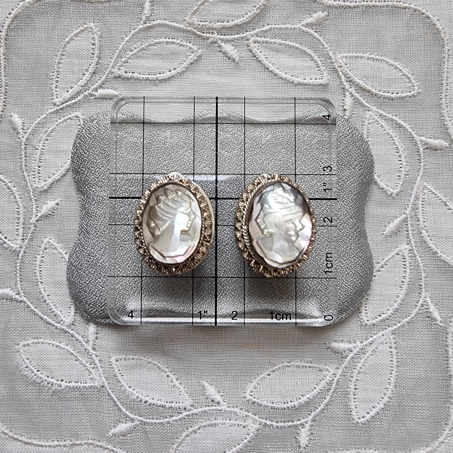 Clip on - 800 Silver Carved Abalone Cameo Earrings