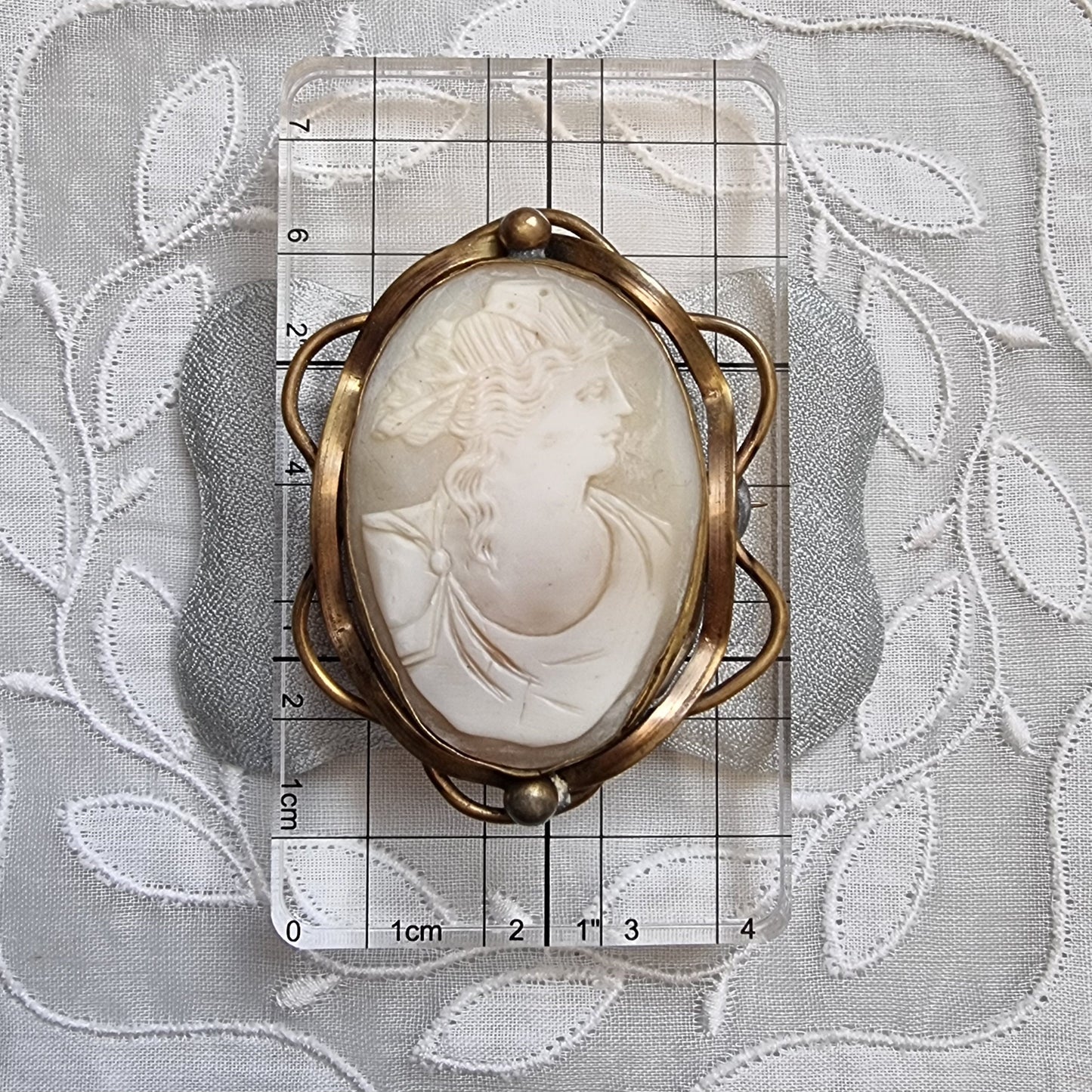 Brooch - Shell Cameo Brass Frame Brooch