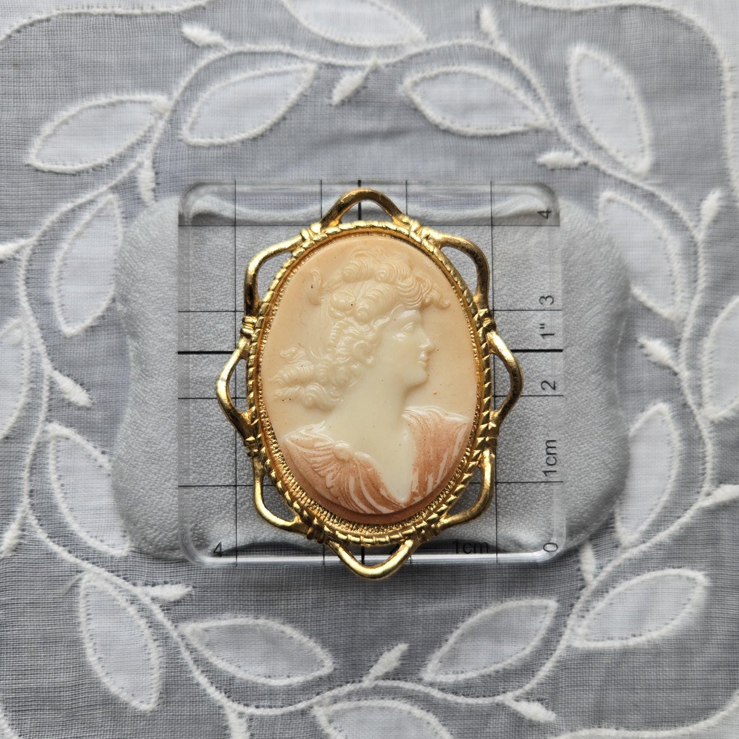 Brooch - Gold Ribbon Frame Cameo Brooch